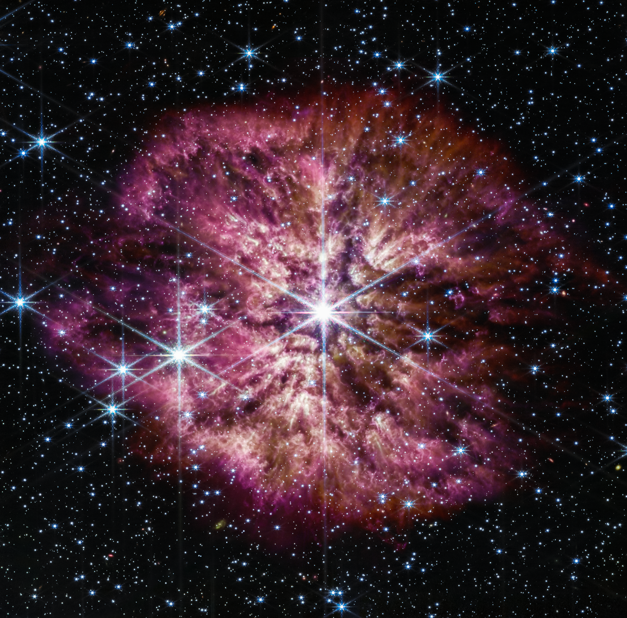 The luminous, hot star Wolf-Rayet 124 (WR 124) is prominent at the center of the James Webb Space Telescope’s composite image combining near-infrared and mid-infrared wavelengths of light. The star displays the characteristic diffraction spikes of Webb’s Near-Infrared Camera (NIRCam), caused by the physical structure of the telescope itself. NIRCam effectively balances the brightness of the star with the fainter gas and dust surrounding it, while Webb’s Mid-Infrared Instrument (MIRI) reveals the nebula’s structure. Background stars and background galaxies populate the field of view and peek through the nebula of gas and dust that has been ejected from the aging massive star to span 10 light-years across space. A history of the star’s past episodes of mass can be read in the nebula’s structure. Rather than smooth shells, the nebula is formed from random, asymmetric ejections. Bright clumps of gas and dust appear like tadpoles swimming toward the star, with tails streaming out behind them, blown back by the stellar wind. This image combines various filters from both Webb imaging instruments, with the color red assigned to wavelengths of 4.44, 4.7, 12.8, and 18 microns (F444W, F470N, F1280W, F1800W), green to 2.1, 3.35, and 11.3 microns (F210M, F335M, F1130W), and blue to 0.9, 1.5, and 7.7 microns (F090W, F150W, F770W).